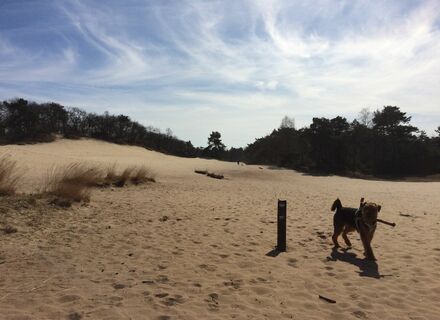 Loonse en Drunense Duinen - Zuidoost