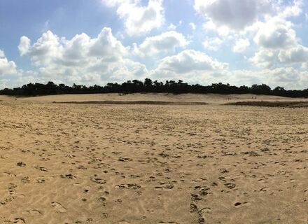 Loonse en Drunense Duinen - Zuidwest