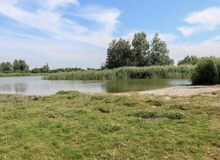 Losloopgebied Makkum