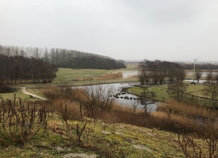 Mariëndal