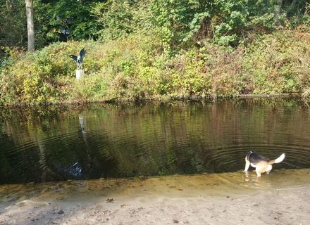 Meer en Bos