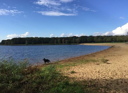 Mookerplas