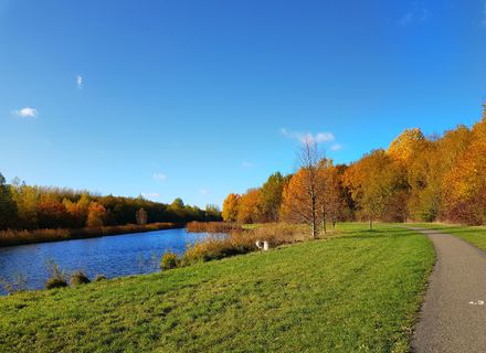 Natuurgebied Kardinge