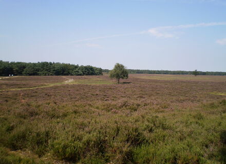 Nieuw Bussummerheide
