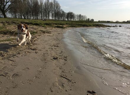 Nieuw Hulckesteijn