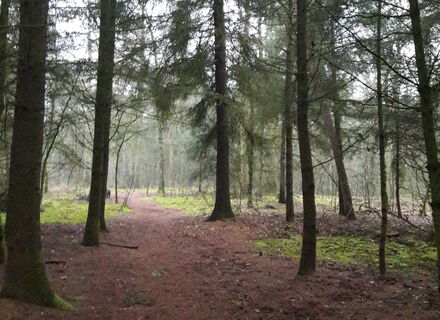 Noordbargerbos