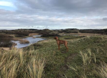 Noordduinen & Wurmenveld