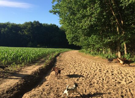Noorderheide, Tafelbergheide en Huizer Eng