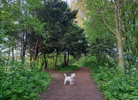 Noorderhout en Groenewal