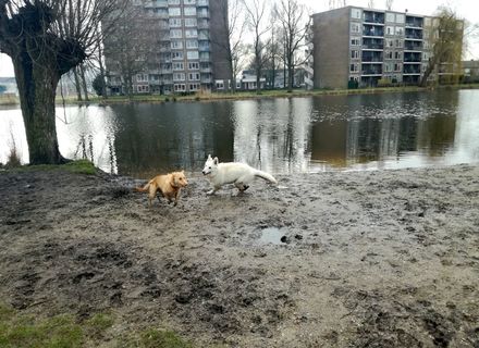 Noordsterpark
