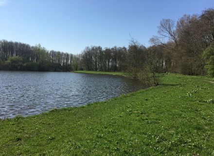 Obdammer Weel
