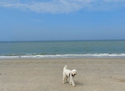 Oosterstrand