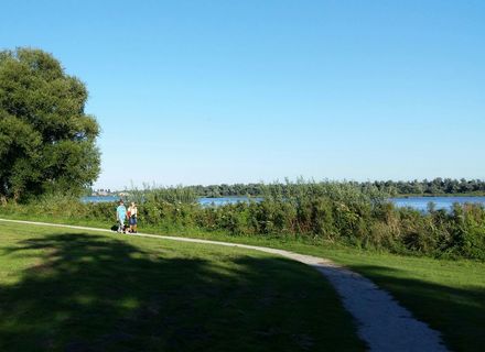 Oude Maas