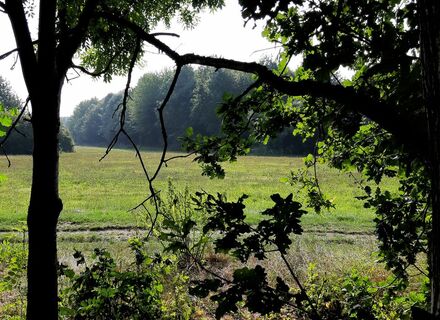 Oude Mijn-Terrein