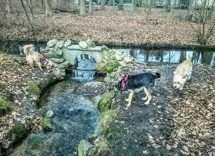Park Angerenstein