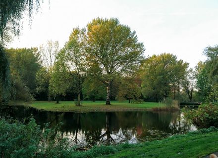 Park Immerloo
