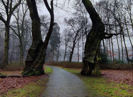 Park Zijpendaal, Sonsbeek en Gulden Bodem