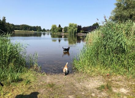 Pekelder Bos