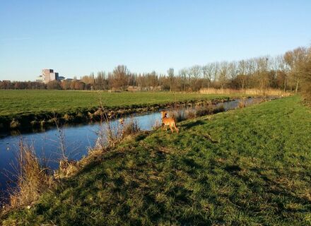 Polderpark Cronesteyn