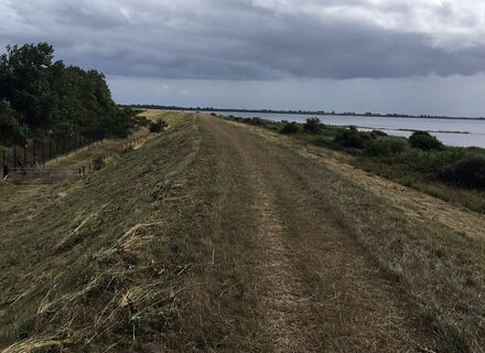 Preekhilpolder