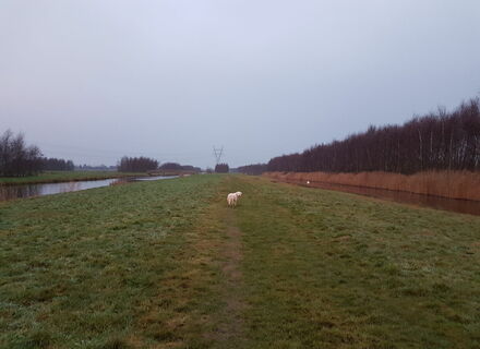 Purmerland