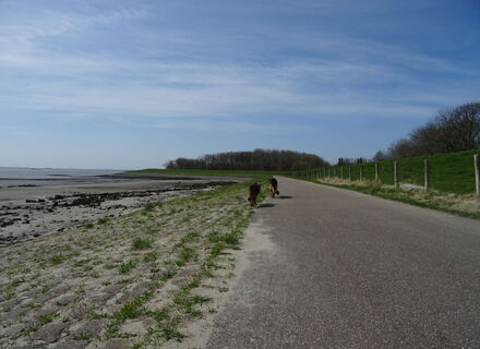 Rammekenshoek