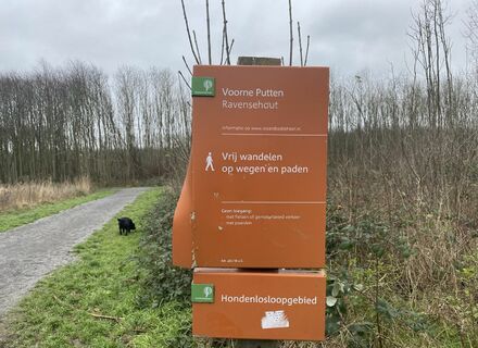 Ravense Hout