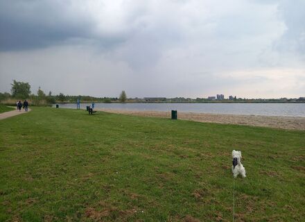 Recreatiegebied Krimpenerhout