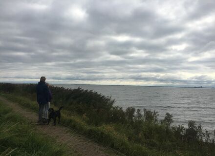 Rondje Marken