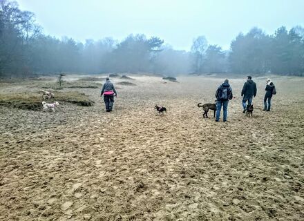 Rozendaalse Veld