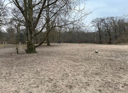 Scheveningse Bosjes