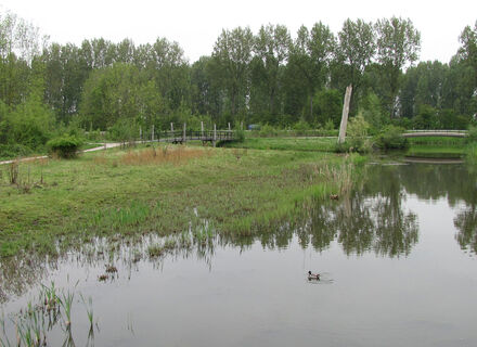 Schiebroekse Park