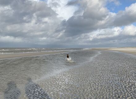 Schiermonnikoog