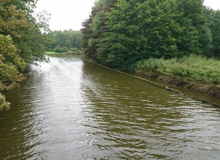 Spaarnwoude