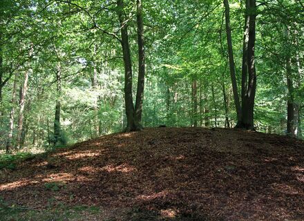 Speulderbos