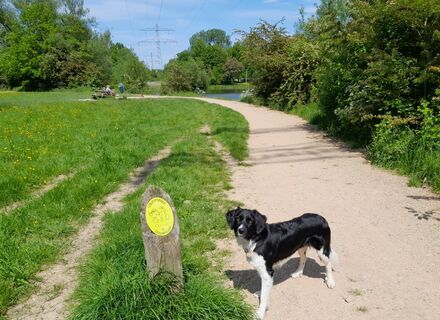 Stadspark Staddijk