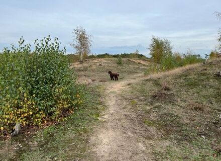 Strabrechtse heide