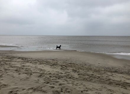 Strand Callantsoog