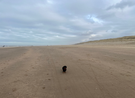 Strand Castricum
