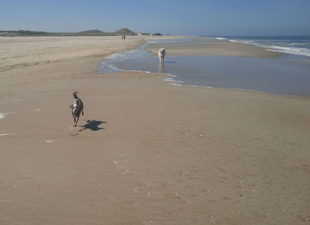 strand Korfwater
