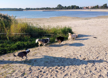 Strand Lemmer