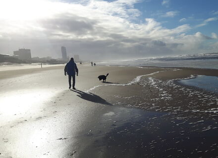 Strand van Zandvoort