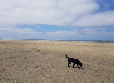 Strand Velsen-noord