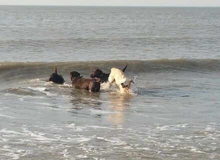 Strand Wijk aan Zee