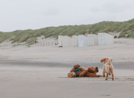 Strandweg