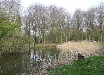 Streekbos