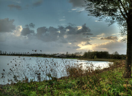 Toolenburger Plas
