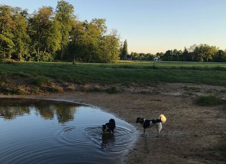 Twickelerbosch