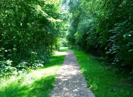 Venneperhout