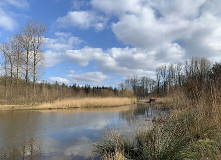 Voorsterbos